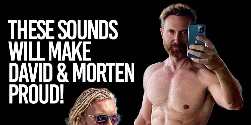 David Guetta and Morten serum presets
