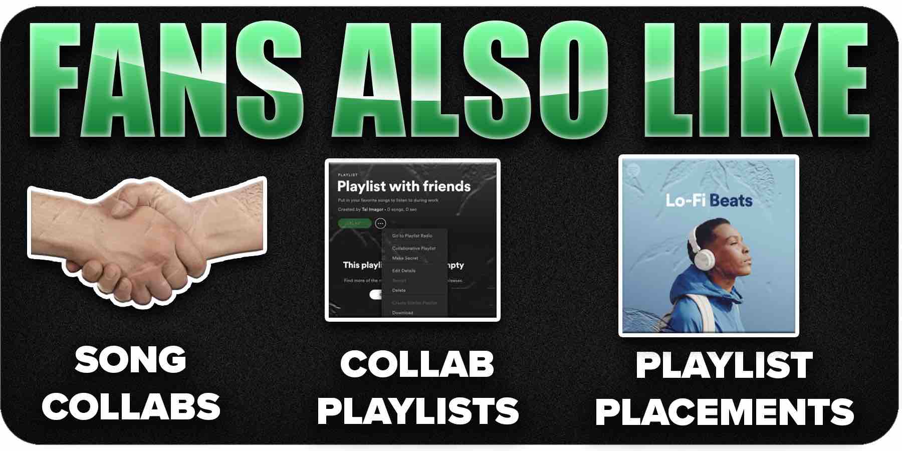 How to get Spotify Fans Also Like