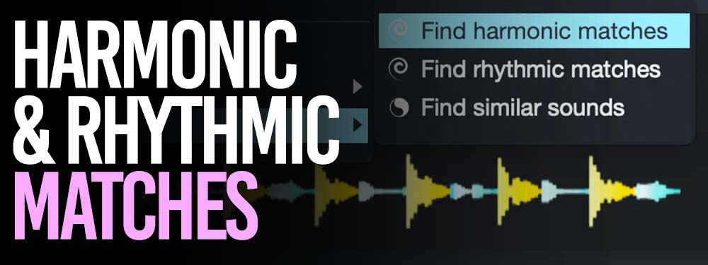 Loopcloud harmonic and rhythmic matches