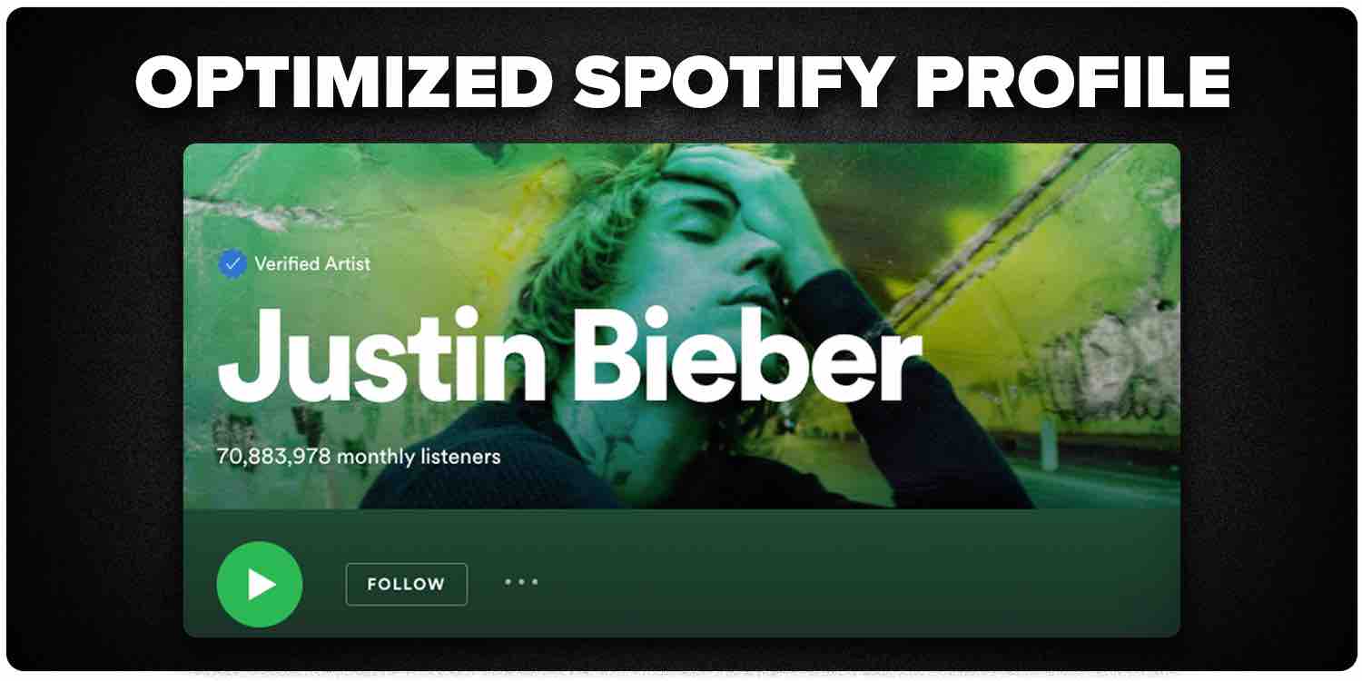 Optimized Spotify Profile