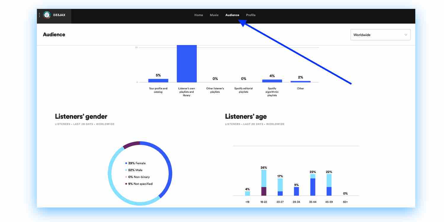 Spotify Audience Tab