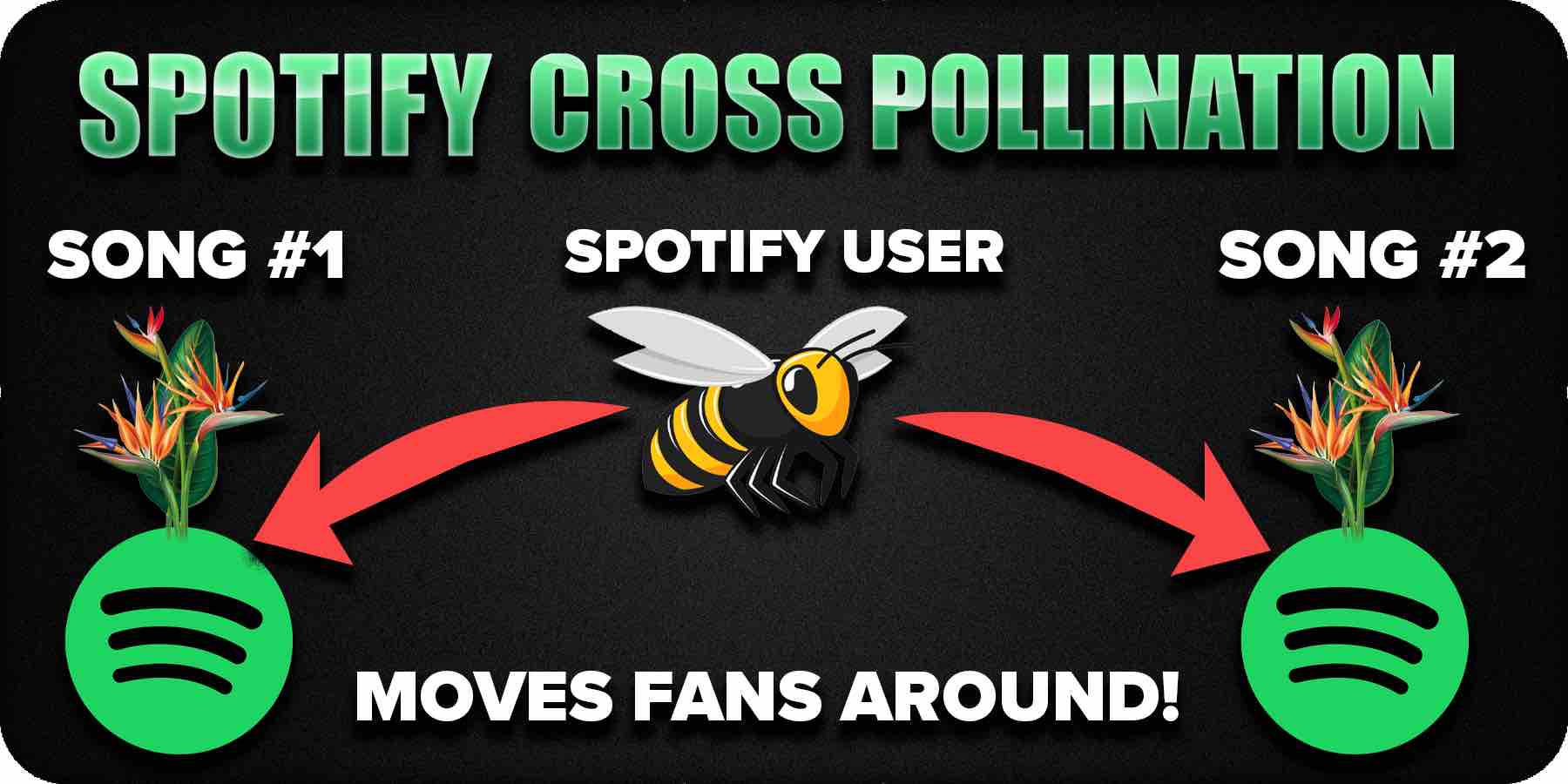 Spotify Cross Pollination Marketing
