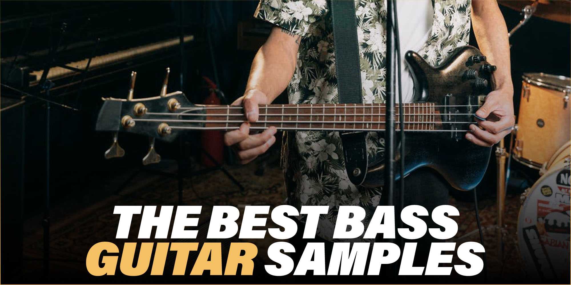 The best bass guitar samples