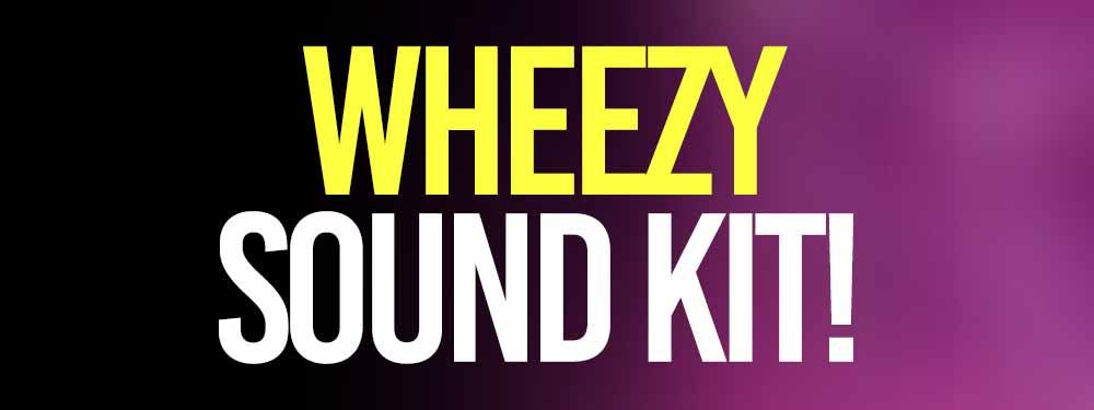 Wheezy Sound Kit